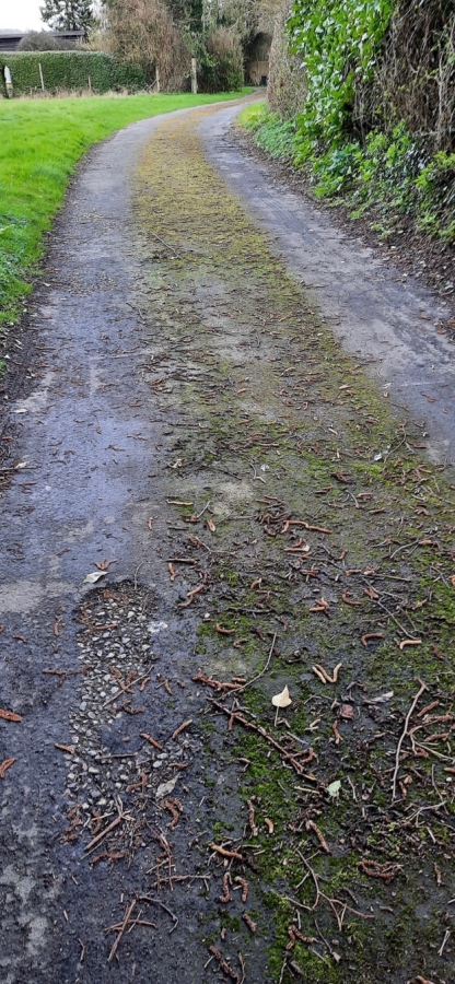 driveway tar and chip surface dressing Hampshire