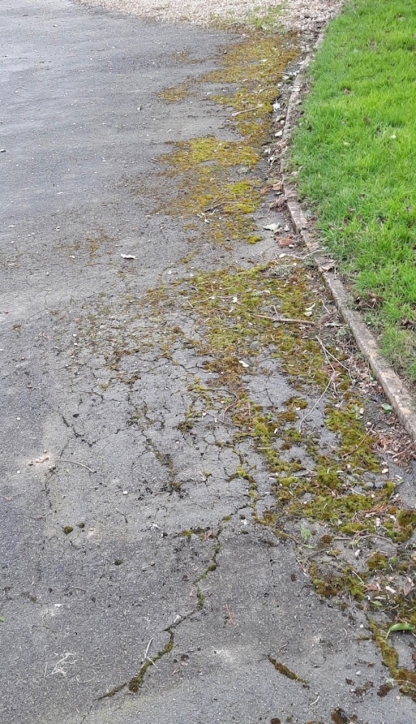 driveway tar and chip surface dressing Hampshire
